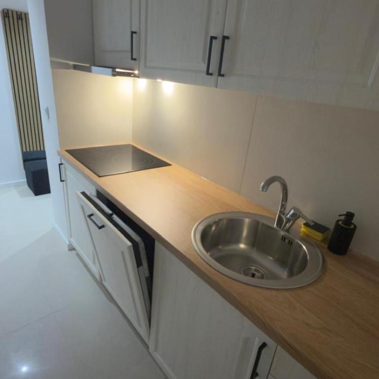 Sky View Otoka - Apartman sa 1 Spavaćom Sobom - 23