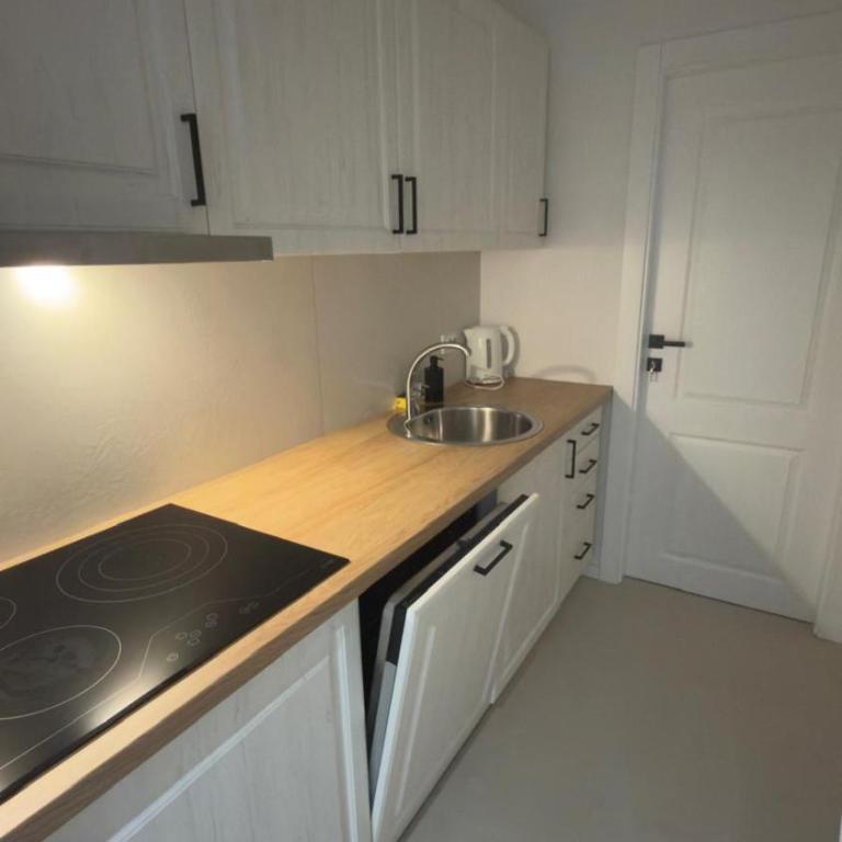 Sky View Otoka - Apartman sa 1 Spavaćom Sobom - 11