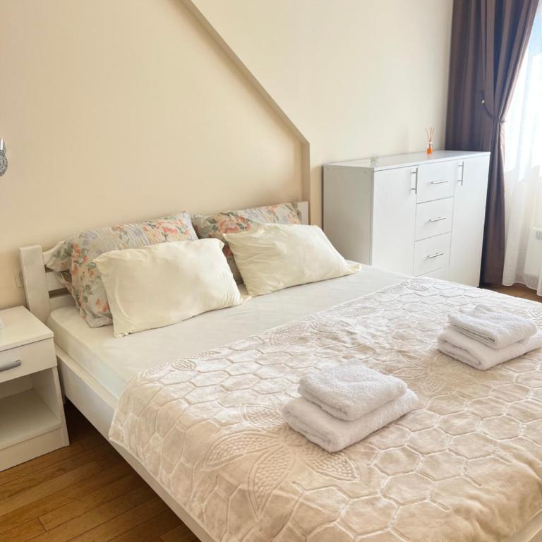 Vračar - Apartment mit 1 Schlafzimmer - 1