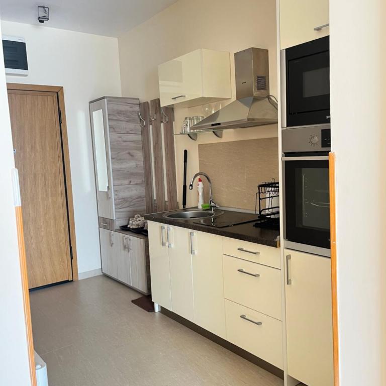 Vračar - Apartment mit 1 Schlafzimmer - 12