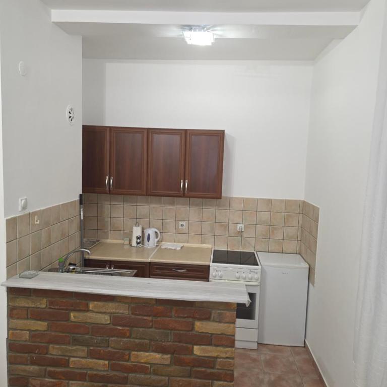 Žugić apartman - Appartement 1 Chambre - 3