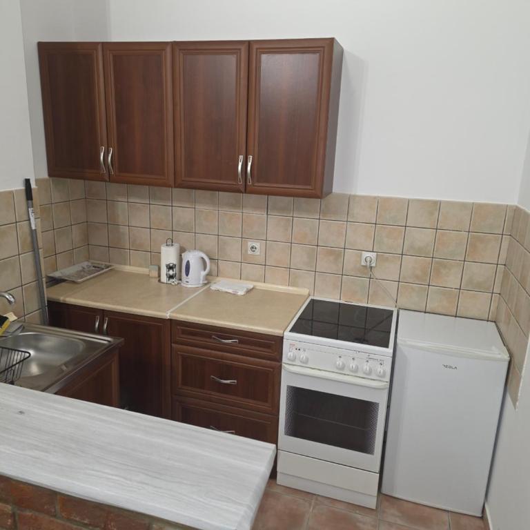 Žugić apartman - Appartement 1 Chambre - 8