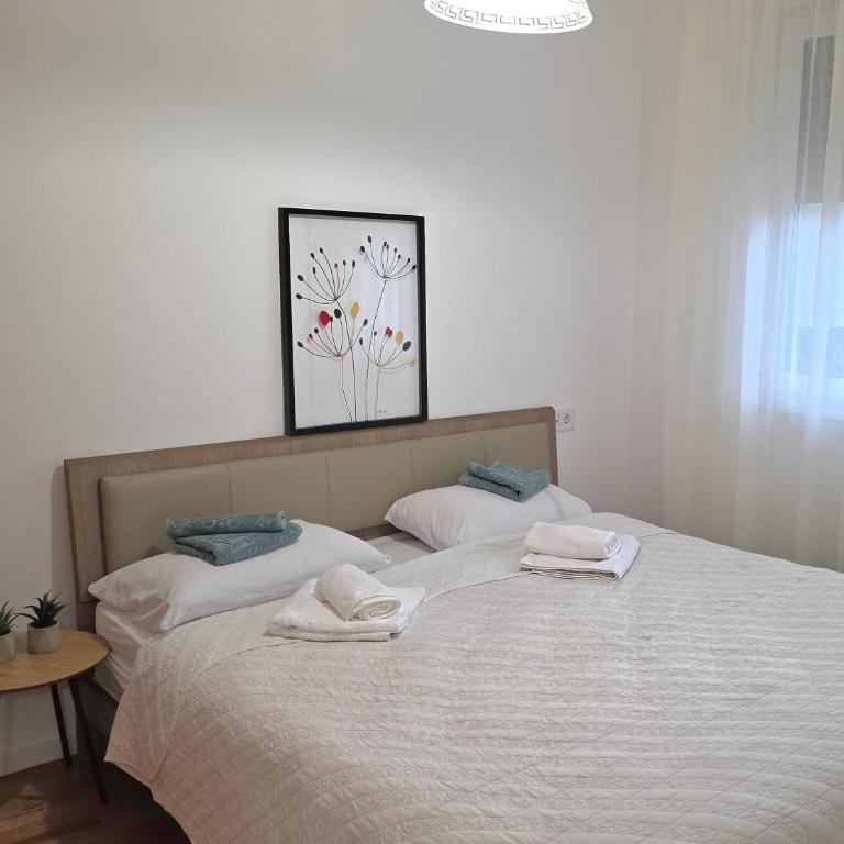 Ideal Centar - Apartman sa 1 Spavaćom Sobom - 9