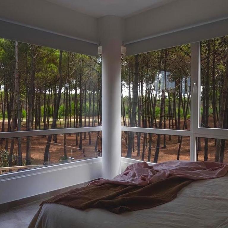 Departamento en Pinamar Norte - Complejo Renata - Apartamento de 1 dormitorio - 2