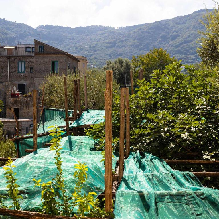 900 Vintage Design in Central Sorrento - Appartamento - 4