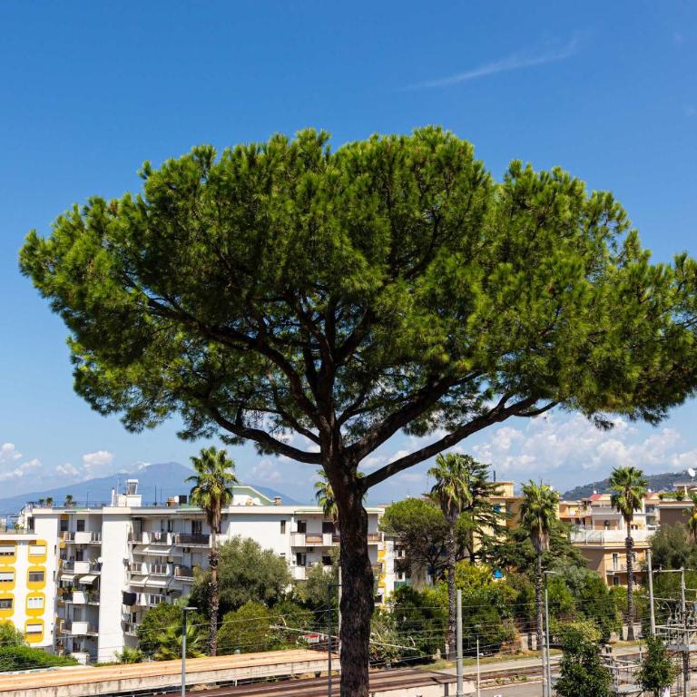 900 Vintage Design in Central Sorrento - Appartamento - 12