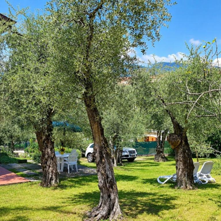 Casa Laura - Appartamento con 1 Camera da Letto - 4