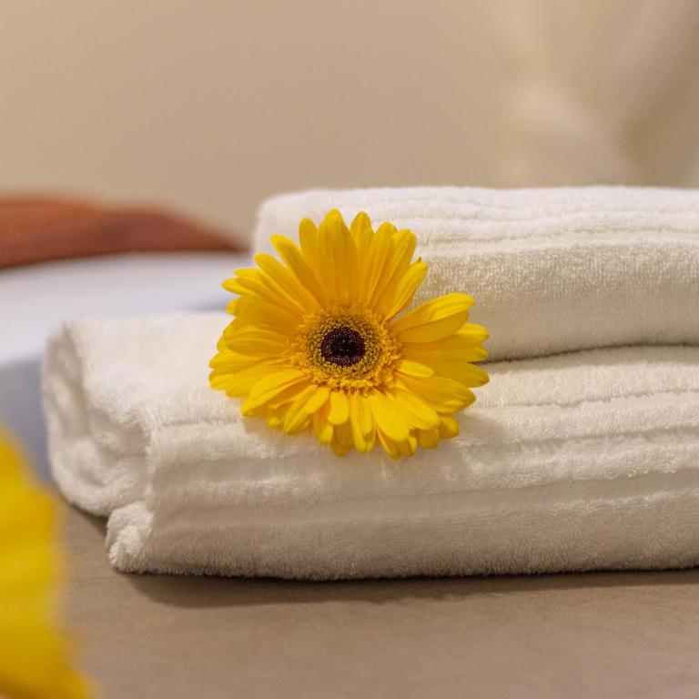 Style & Relax Just Steps From The Fair - Appartamento con 1 Camera da Letto - 27