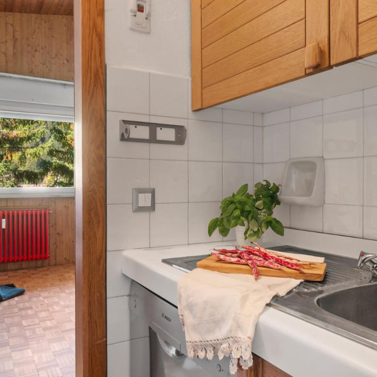iFlat Apartment Madonna di Campiglio Casa di Betti - Appartamento con 1 Camera da Letto - 9