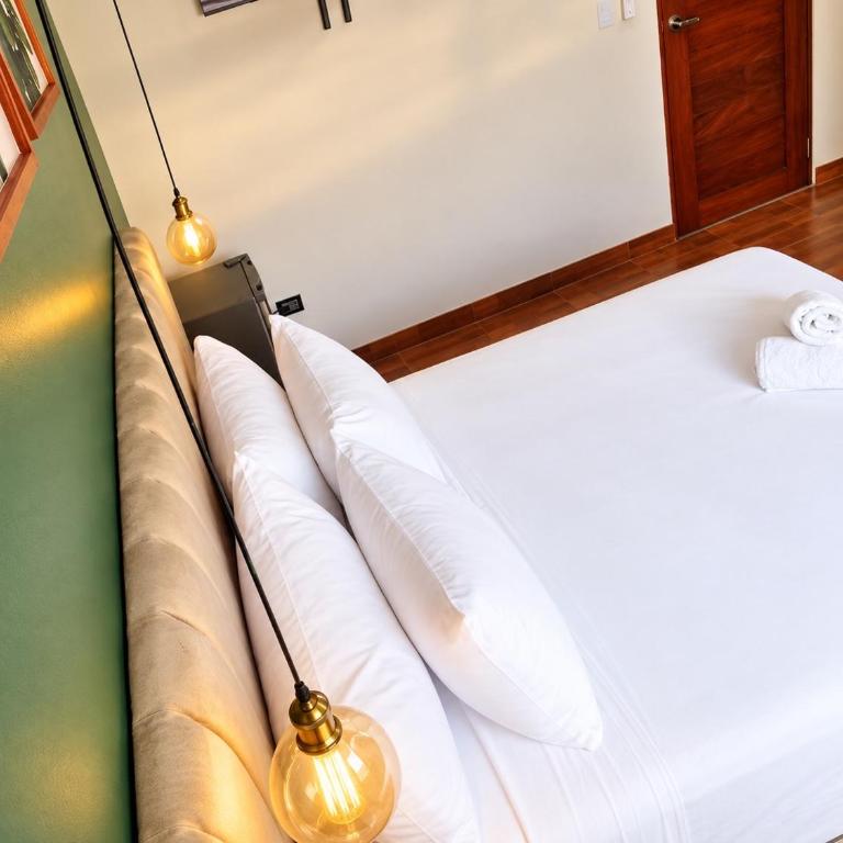 Amazon Garden Suite & Apartment - Suite con cama grande - 5