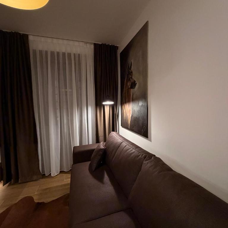 3N Royal Mountain III - Apartman sa 1 Spavaćom Sobom - 6