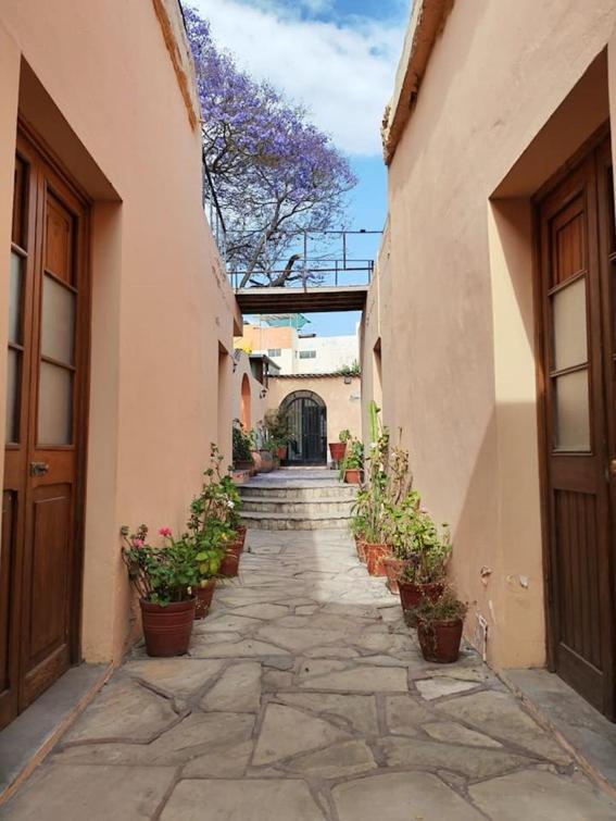 Jacaranda - One-Bedroom Apartment - 21