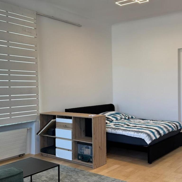 Altbaucharme mitten in Graz - Two-Bedroom Apartment - 4