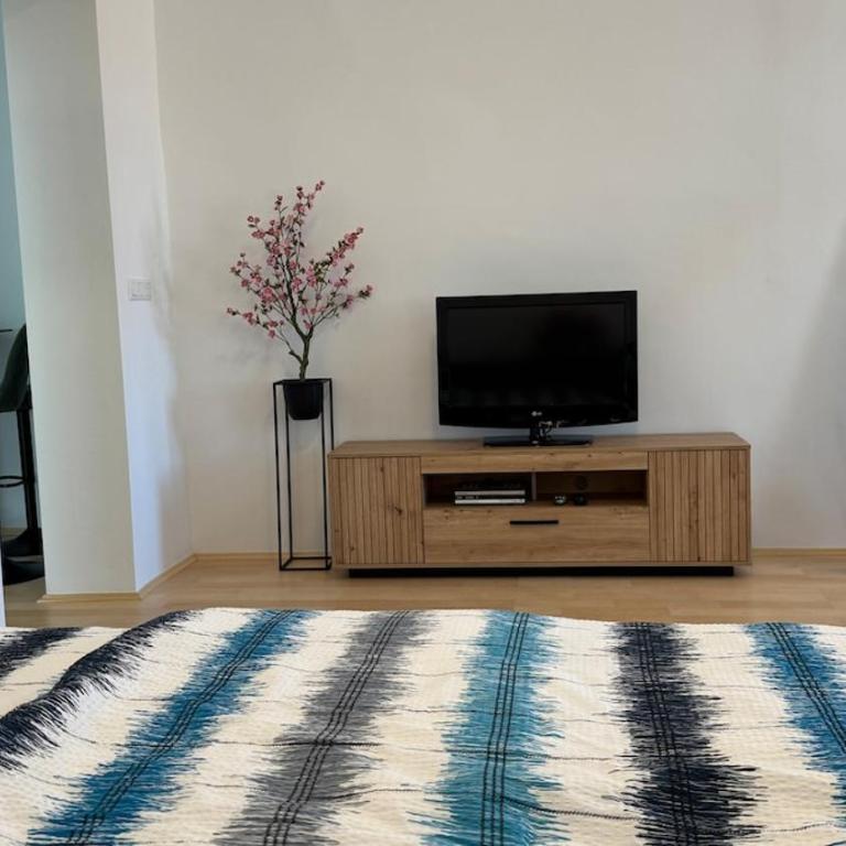 Altbaucharme mitten in Graz - Two-Bedroom Apartment - 6