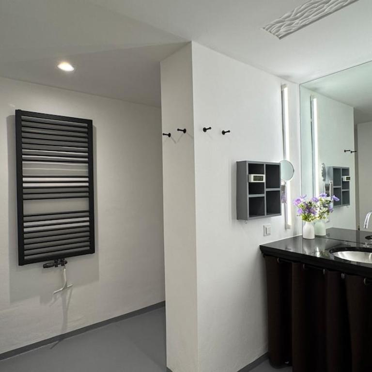 Altbaucharme mitten in Graz - Two-Bedroom Apartment - 16