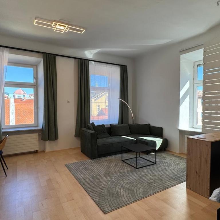 Altbaucharme mitten in Graz - Two-Bedroom Apartment - 24