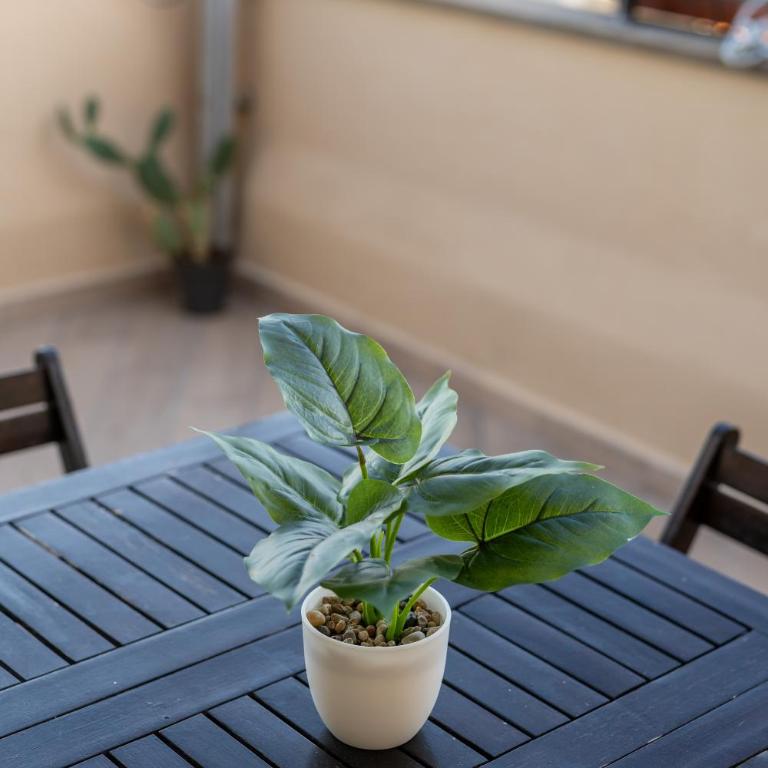 Eden House Florence - Apartment mit 2 Schlafzimmern - 14