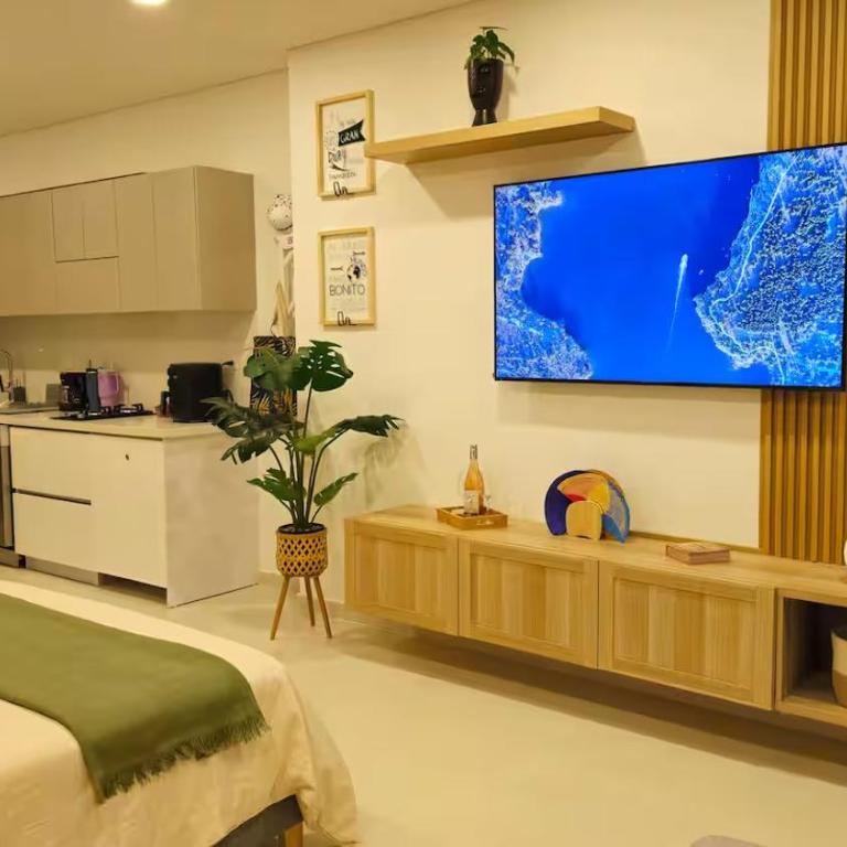 Moderno Apartamento Delventto Pozos Colorados - One-Bedroom Apartment - 6