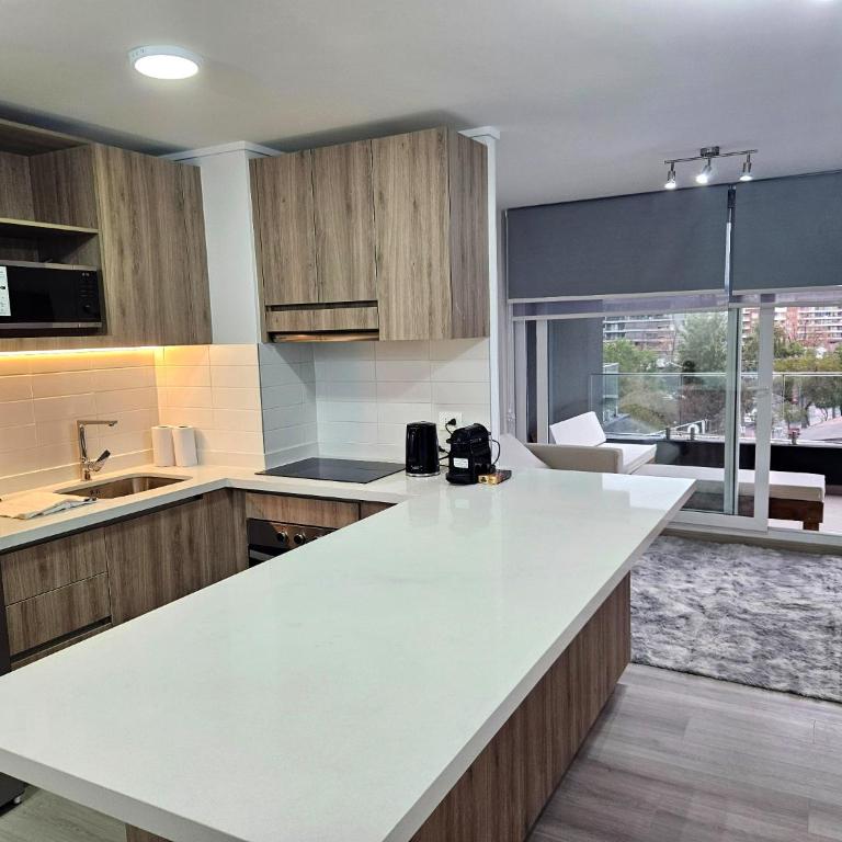 Las Condes Luxury Terrace, Andes Mountains view & Parking - Apartamento de 1 dormitorio - 3