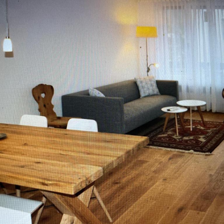 Swiss Alps Panorama - Apartment - 1