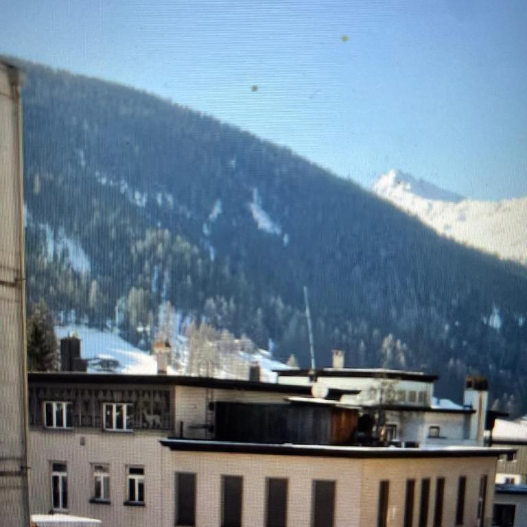 Swiss Alps Panorama - Apartment - 4