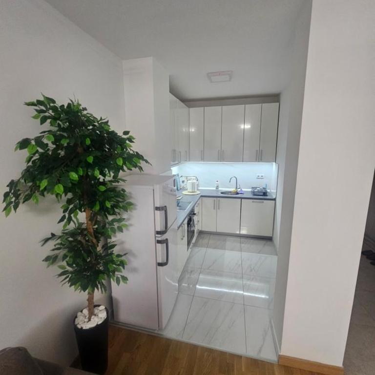 Delta BL - Apartment mit 1 Schlafzimmer - 10