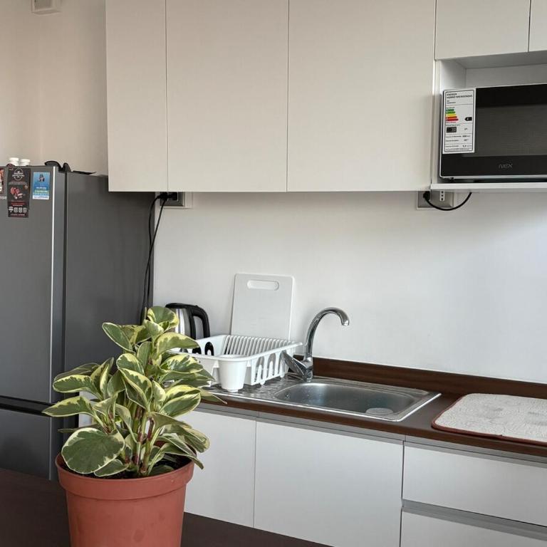 Beautiful apartment overlooking the lake and the volcano - Three-Bedroom Apartment - 7