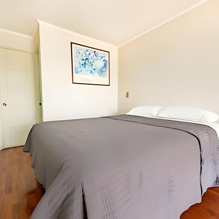 AR Dúplex | Lastarria y Cerro Santa Lucía - One-Bedroom Apartment - 3