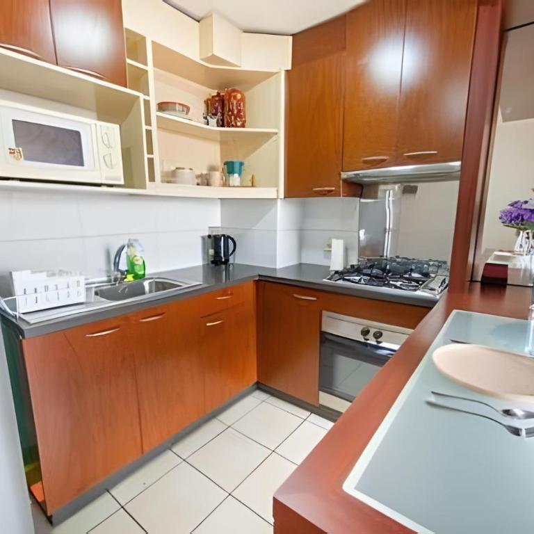 AR Dúplex | Lastarria y Cerro Santa Lucía - One-Bedroom Apartment - 24