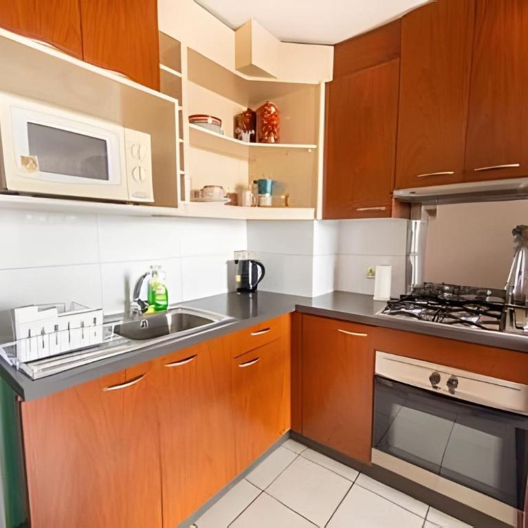 AR Dúplex | Lastarria y Cerro Santa Lucía - One-Bedroom Apartment - 28