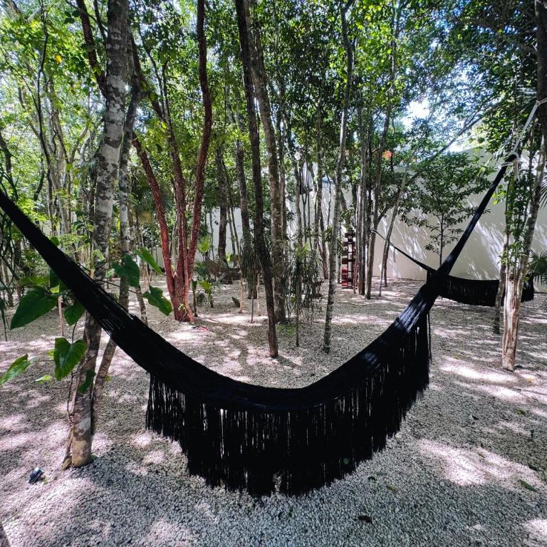 Botanic - Apartamento de 1 dormitorio - 6