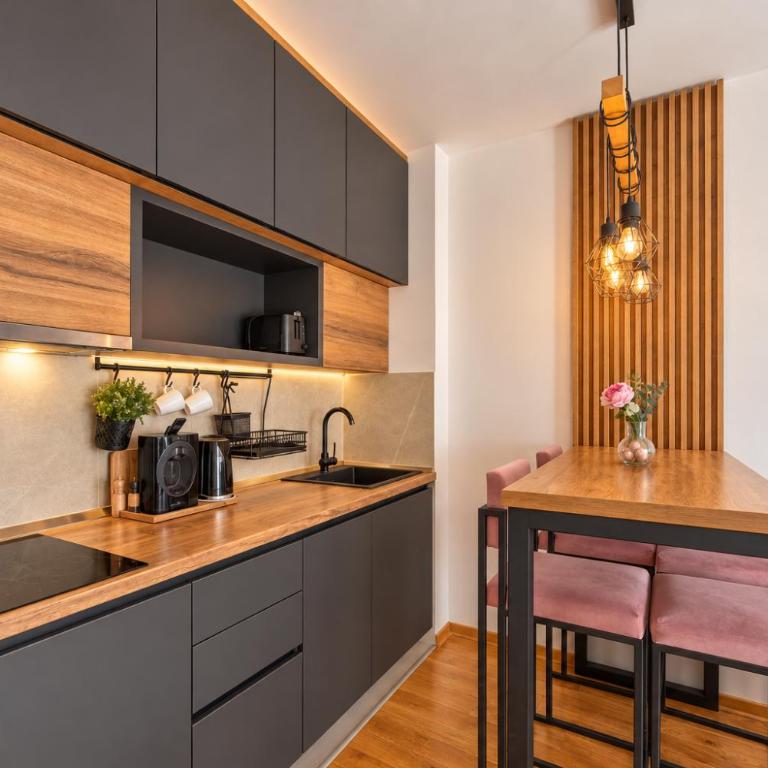 Apartman Istra_28 Titova Vila - Appartement 1 Chambre - 60
