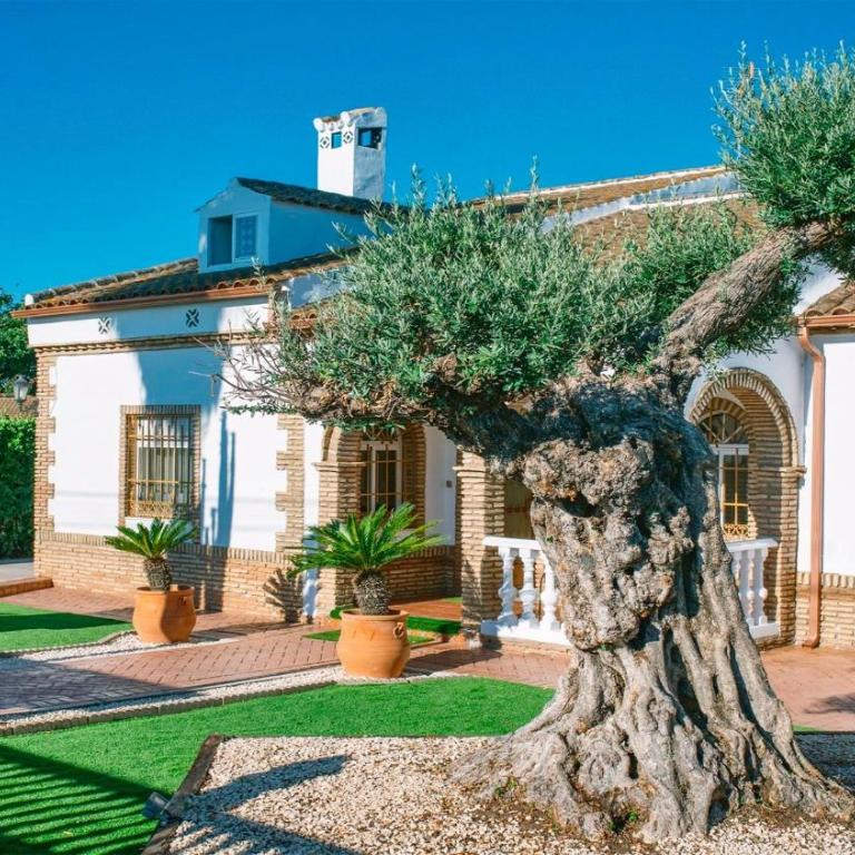 Villa El Olivo de Córdoba. - Casa - 7