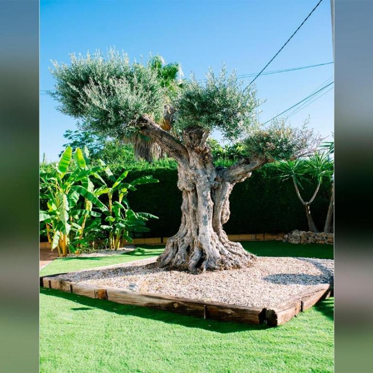 Villa El Olivo de Córdoba. - Casa - 10