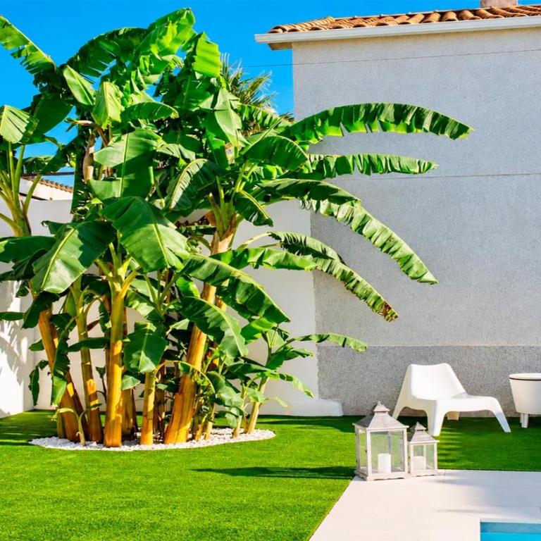 Villa El Olivo de Córdoba. - Casa - 22
