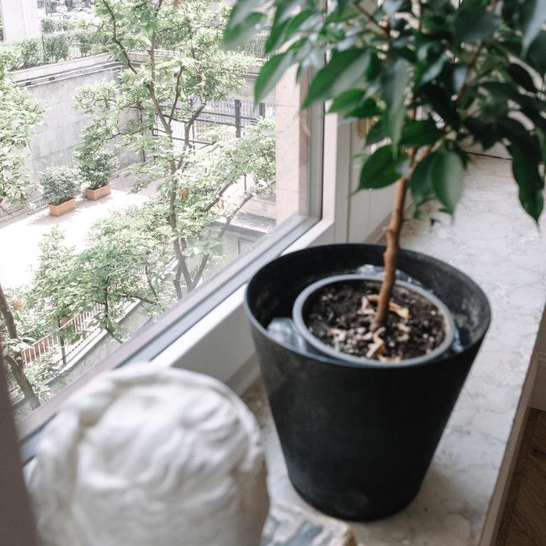 Magnolia - a Bright, Quiet Space in Central Milan - Appartement 1 Chambre - 37