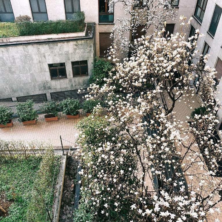 Magnolia - a Bright, Quiet Space in Central Milan - Appartement 1 Chambre - 52