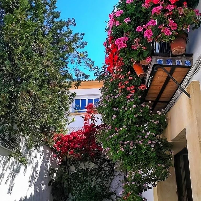 Apartamento El Pacífico - Apartamento de 2 dormitorios - 27