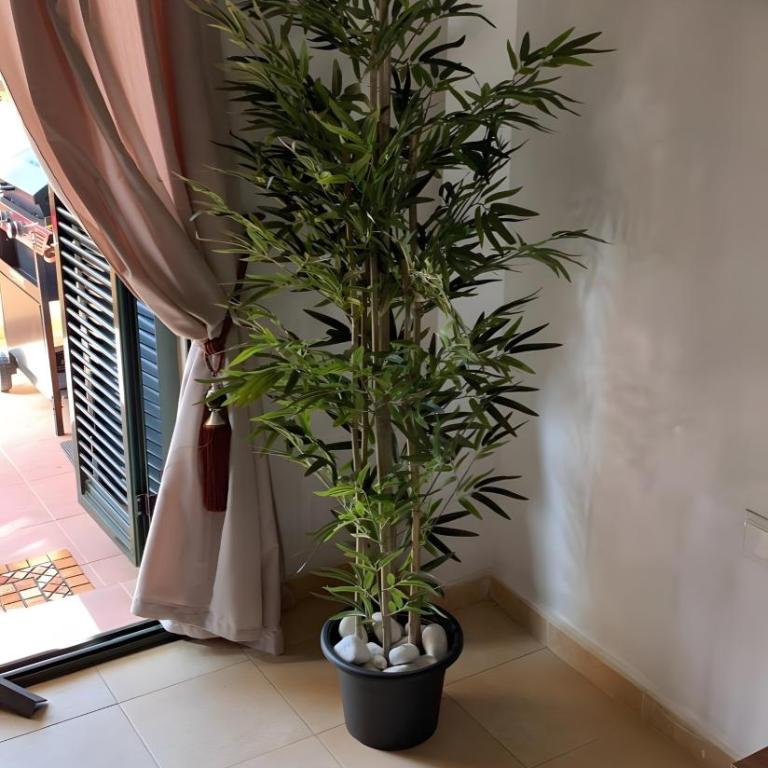 El Oasis Malasia 4 1A - Appartement 2 Chambres Deluxe avec Balcon - 11