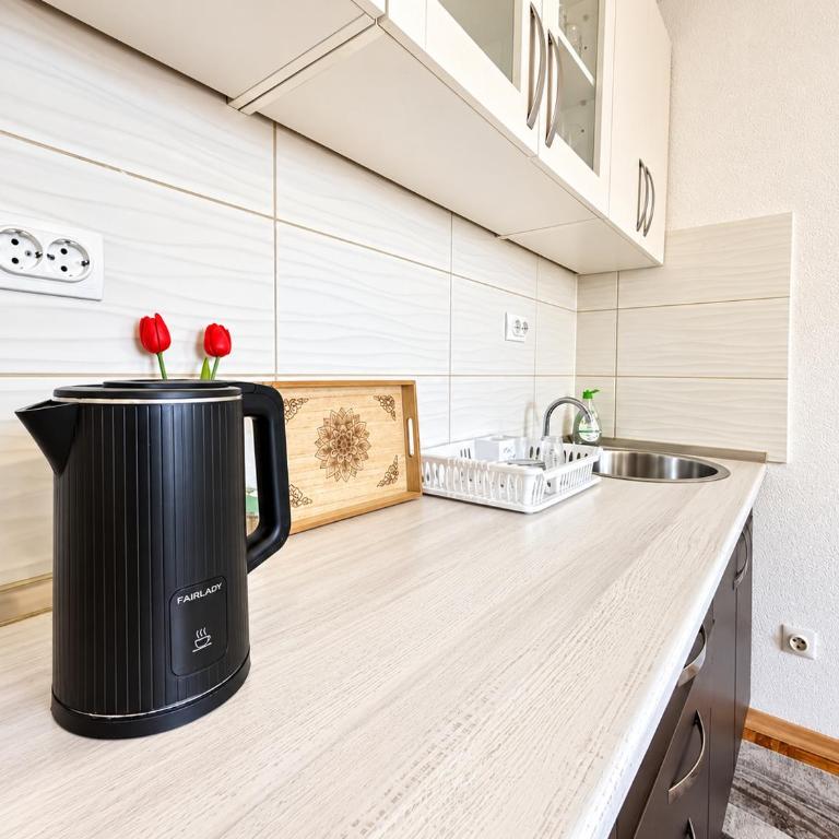 West Point Sarajevo - Apartman sa 1 Spavaćom Sobom - 13