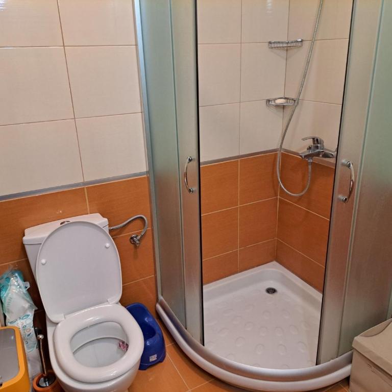 Stan Centar Zlatibora - One-Bedroom Apartment - 9