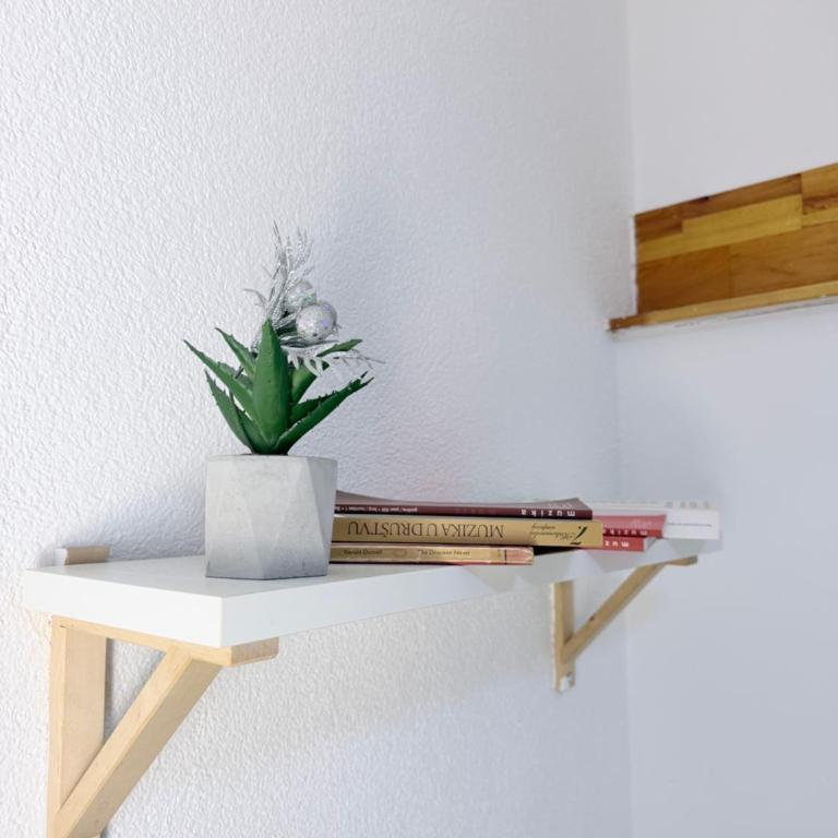 Studio Apartments Siesta - Standardni Studio - 6