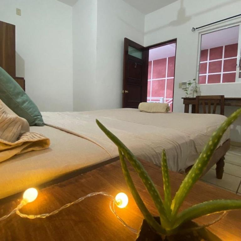 Casa Luma-Coliving - Double Room with Private Bathroom - 4