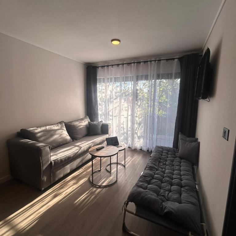 Santa Ana Urban Space - Apartamento de 1 dormitorio - 11