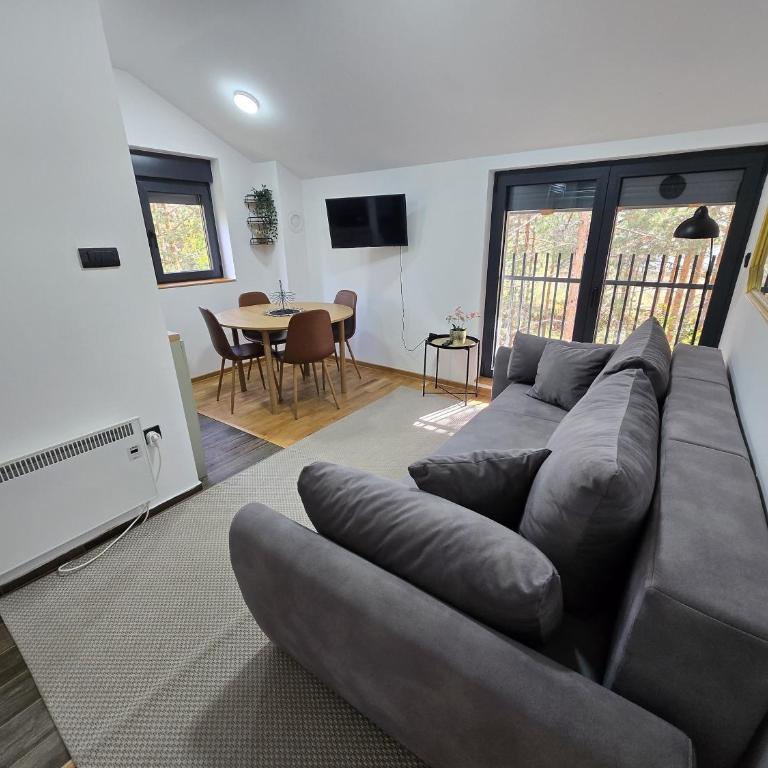 Apartmani Brankica Divčibare - Apartman sa 1 Spavaćom Sobom - 8