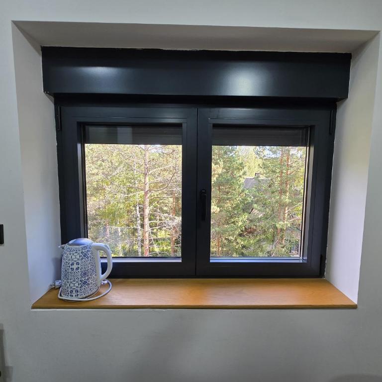 Apartmani Brankica Divčibare - Apartman sa 1 Spavaćom Sobom - 9