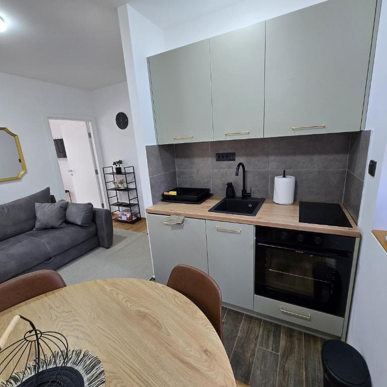 Apartmani Brankica Divčibare - Apartman sa 1 Spavaćom Sobom - 11