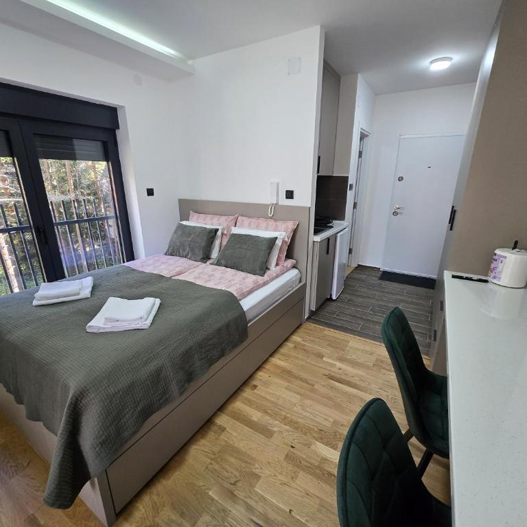 Apartmani Brankica Divčibare - Studio - 17