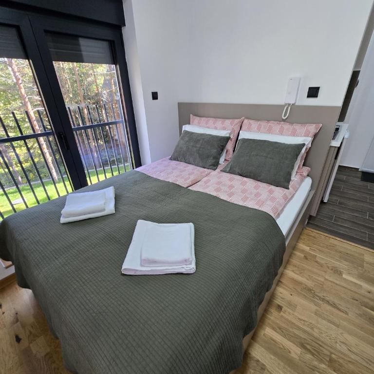 Apartmani Brankica Divčibare - Studio - 18