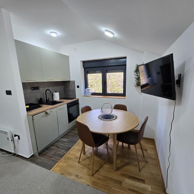 Apartmani Brankica Divčibare - Apartman sa 1 Spavaćom Sobom - 17